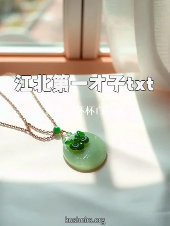 江北第一才子txt