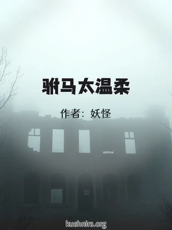 驸马太温柔
