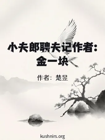小夫郎聘夫记作者:金一块