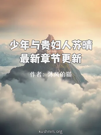 少年与贵妇人苏晴最新章节更新