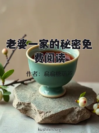 老婆一家的秘密免费阅读