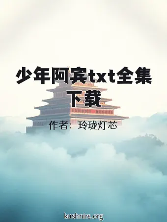 少年阿宾txt全集下载