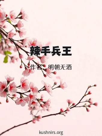 辣手兵王