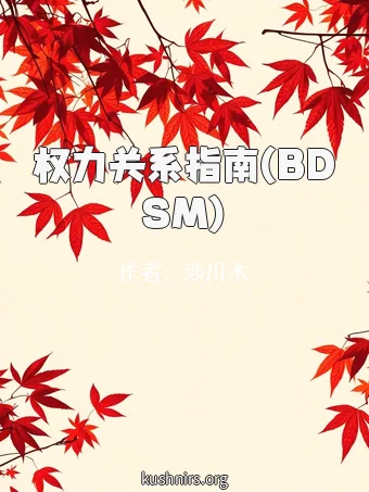 权力关系指南(BDSM)