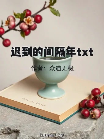 迟到的间隔年txt