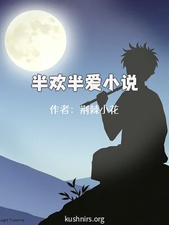 半欢半爱小说