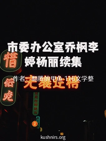 市委办公室乔枫李婷杨丽续集