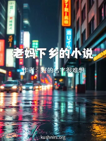 老妈下乡的小说