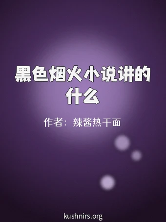黑色烟火小说讲的什么