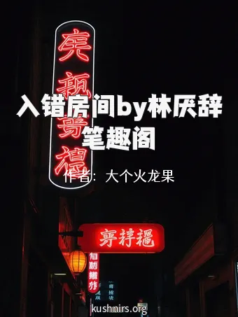 入错房间by林厌辞笔趣阁