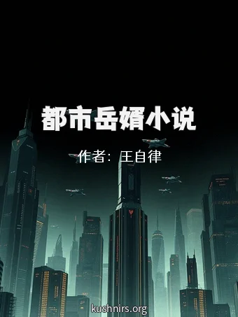 都市岳婿小说