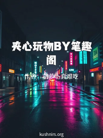 夹心玩物BY笔趣阁