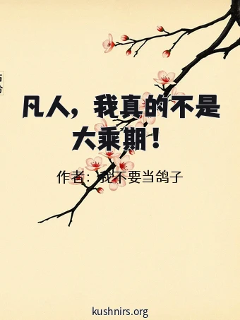 凡人，我真的不是大乘期！