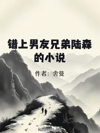 错上男友兄弟陆森的小说