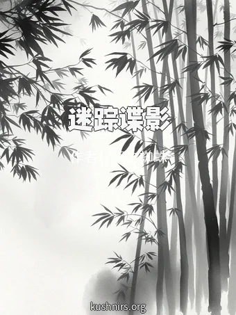 迷踪谍影