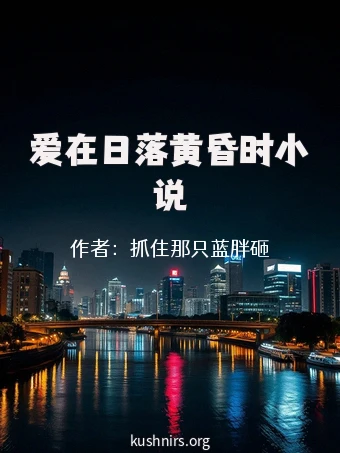 爱在日落黄昏时小说