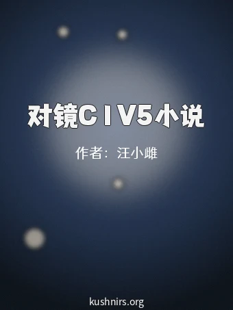 对镜C1V5小说