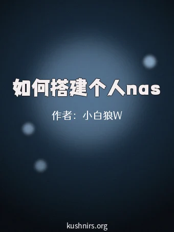 如何搭建个人nas