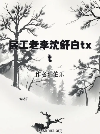 民工老李沈舒白txt