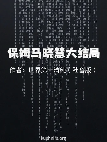 保姆马晓慧大结局