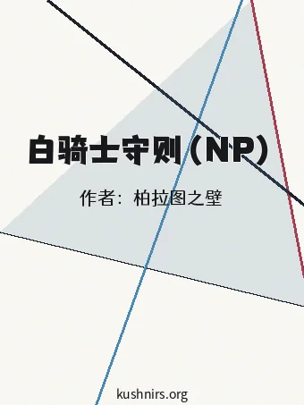 白骑士守则（NP）