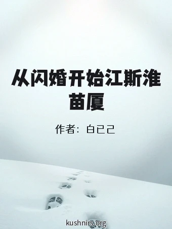 从闪婚开始江斯淮苗厦