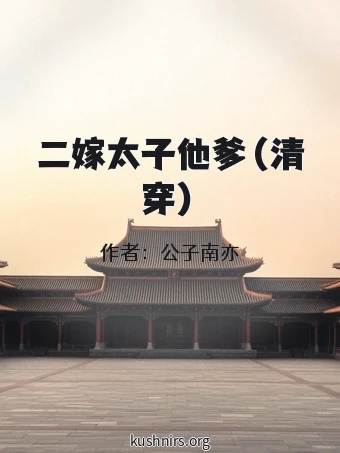 二嫁太子他爹（清穿）