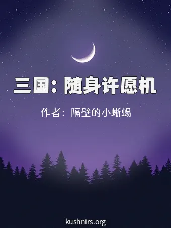 三国：随身许愿机