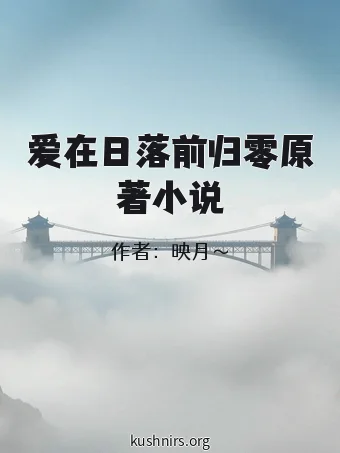 爱在日落前归零原著小说