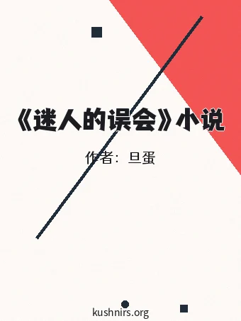 《迷人的误会》小说