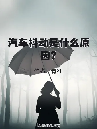 汽车抖动是什么原因?