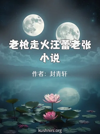 老枪走火汪蕾老张小说