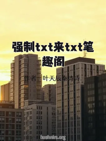 强制txt来txt笔趣阁