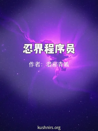 忍界程序员
