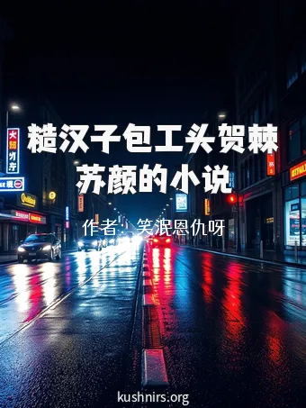 糙汉子包工头贺棘苏颜的小说