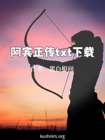 阿宾正传txt下载