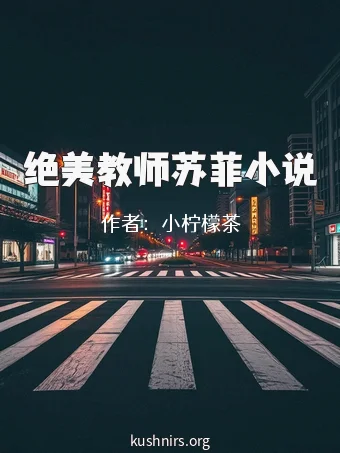 绝美教师苏菲小说
