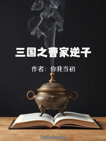 三国之曹家逆子