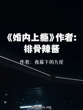《婚内上瘾》作者:排骨辣酱