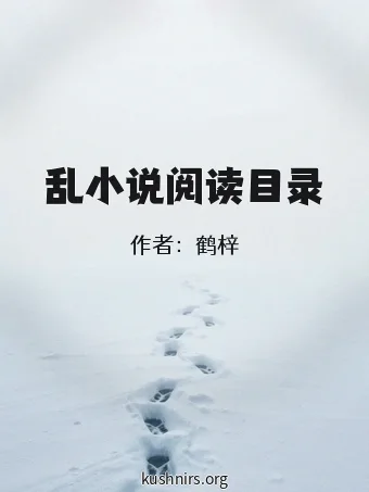 乱小说阅读目录