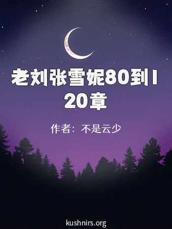 老刘张雪妮80到120章