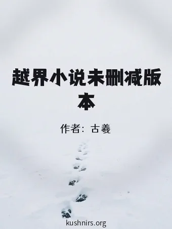 越界小说未删减版本