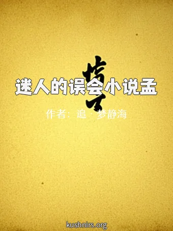 迷人的误会小说孟