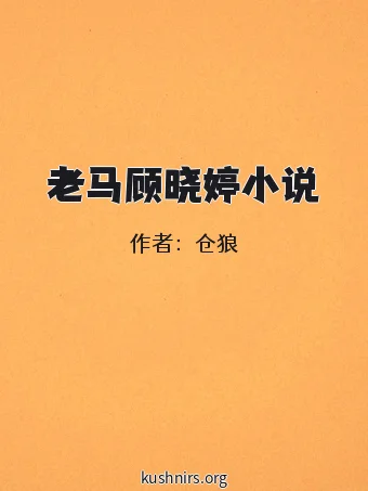 老马顾晓婷小说