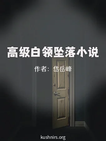 高级白领坠落小说