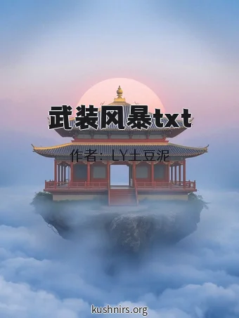 武装风暴txt