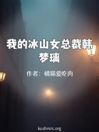 我的冰山女总裁韩梦璃