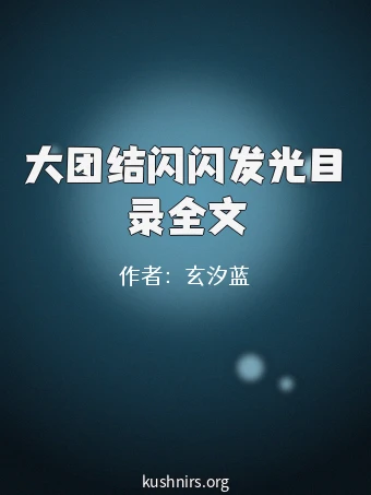 大团结闪闪发光目录全文