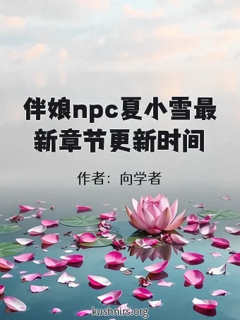 伴娘npc夏小雪最新章节更新时间