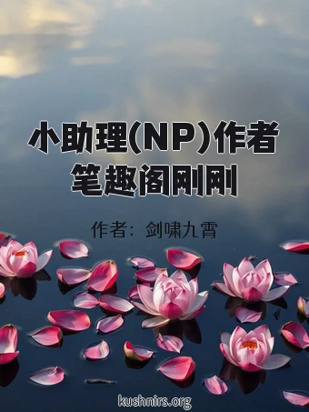 小助理(NP)作者笔趣阁刚刚